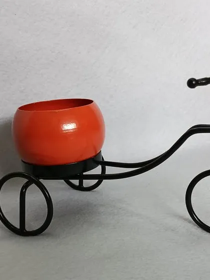 The mini tricycle planter shown with a bright orange pot, adding a fun pop of color.