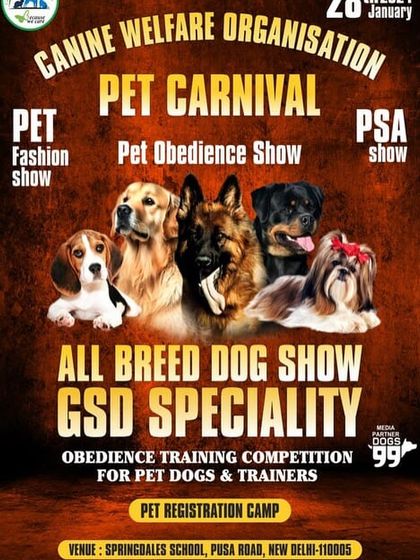 Our Community: Pet Events & Carnivals photo 13