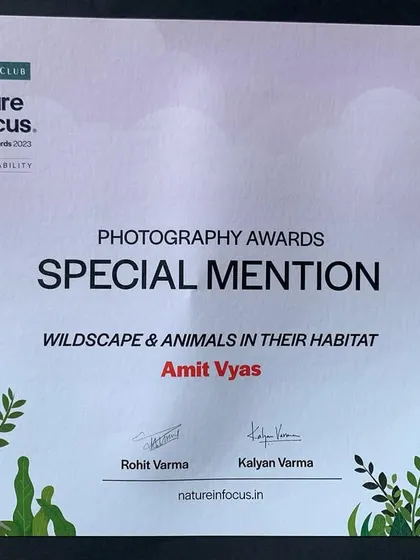 The Special Mention certificate from the Nature inFocus Photography Awards 2023. I'm grateful to the jury and the entire team for this honor.