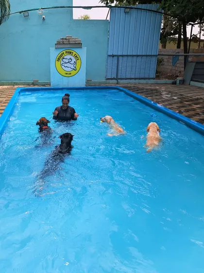 Confidence building can be a lot of fun. Here I am in a group swimming session with Zoe, Mahua, Tiger, and my boy Duggu. Swimming is a fantastic low-impact exercise that builds muscle, confidence, and is a great way for dogs to have a shared positive experience.
