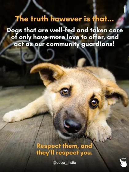 Cupa - Animal Cruelty Legal Aid & Advocacy Building a Compassionate Community photo 11