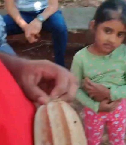 A child learns about the life cycle of plants during our "Grow Your Own Food" camp. We answer curious questions and make learning about botany exciting.