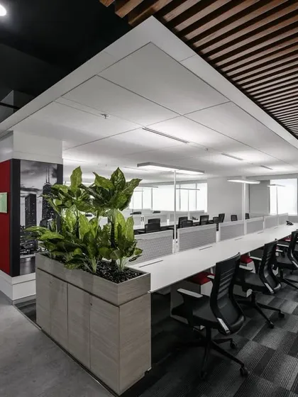 In this workspace, we challenged the norm by designing it with no lights in the ceiling. All illumination comes from integrated task lighting and ambient light from the large windows, creating a clean, uncluttered ceiling plane.