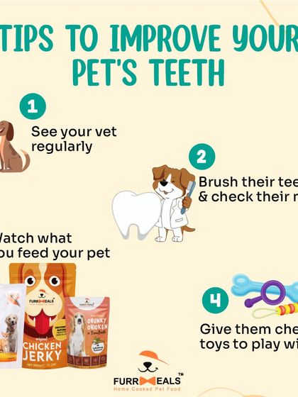 A dog's smile is their superpower! This graphic provides four top tips to improve your pet's dental health, including regular vet visits, brushing, proper diet, and the use of safe chew toys.