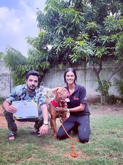Baby Hagrid, the French Mastiff, has graduated from his Board and Train Program. We will miss this big, lovable boy and hope he continues to be a good boy at home.