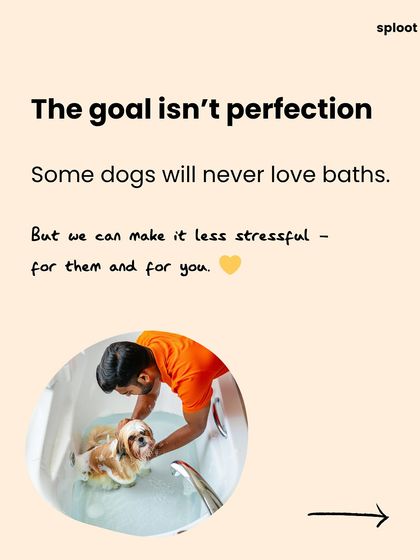 The goal isn't perfection. Some dogs will never love baths, and that's okay. Our aim is to make the experience less stressful for them and for you.