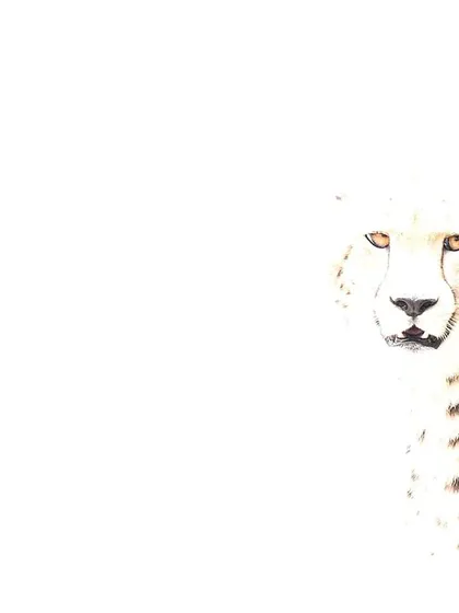 A cheetah portrait transformed into a piece of art using a high-key technique. Harsh midday light is an opportunity, not a limitation. I teach how to create these ethereal, "heavenly" compositions that make your wildlife portfolio stand out.