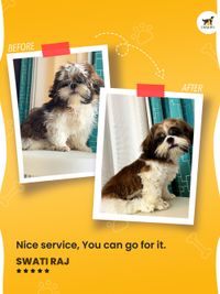 At-home Pet Grooming