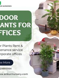 Plant Rental & Maintenance