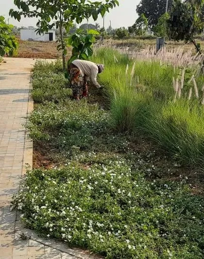 A close up of a completed pathway, bordered by soft, native grasses. We believe the quality of a public space is in its details, creating walking experiences that are not just functional but also sensory and calming.