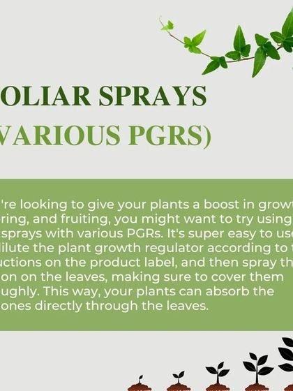 Foliar sprays containing various Plant Growth Regulators (PGRs) are an easy way to boost growth, flowering, and fruiting. The plant absorbs the hormones directly through the leaves for a quick effect.