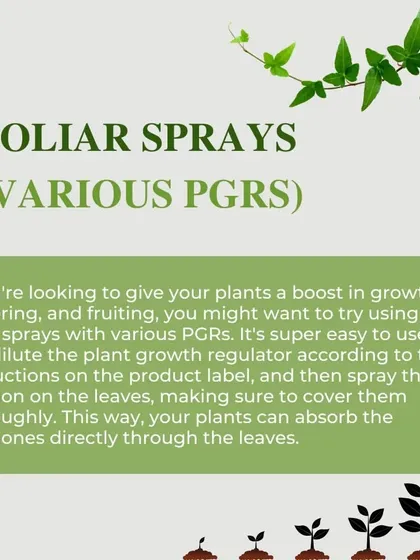 Foliar sprays containing various Plant Growth Regulators (PGRs) can give your plants a boost in growth and flowering. It's super easy to use, just dilute and spray directly on the leaves.