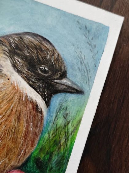 A detail shot of the bird's head and the background, showing the soft blending of colors.