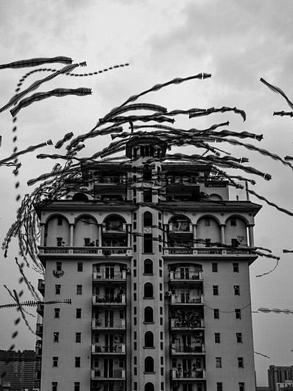 A slightly different composition of the 'TORNADO' ornithograph, showing the immense swarm of birds against the urban architecture.