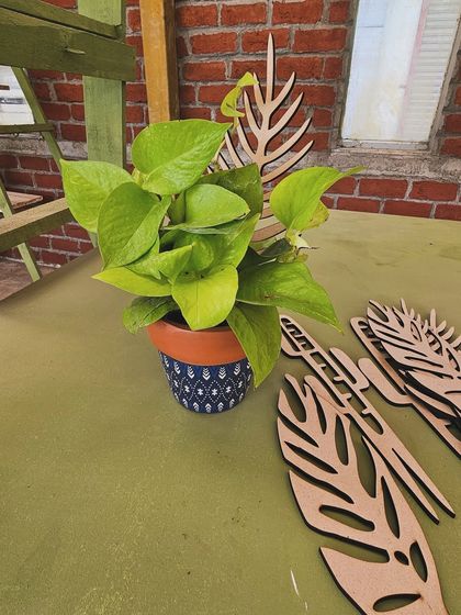 Dress Up Your Plants photo 4