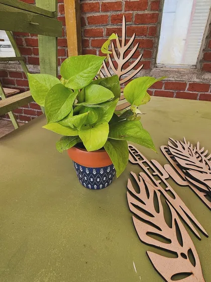 Elevate your garden game with our unique creeper plant supporters. These wooden leaf-shaped trellises give your climbing plants like Pothos the support they need in style.