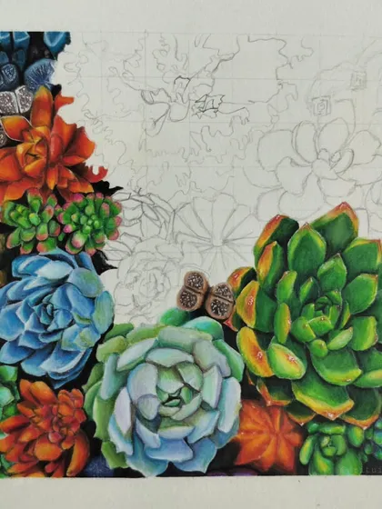 A wider view of the succulent WIP, showing about half the piece colored in. I use a grid method for complex compositions like this.