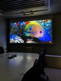 Commercial AV Solutions