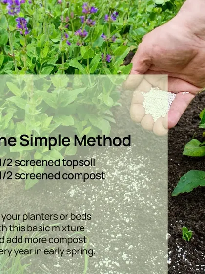 The Simple Method for great soil is a 50/50 mix of screened topsoil and compost. It's a basic but effective mixture for filling your planters or garden beds.