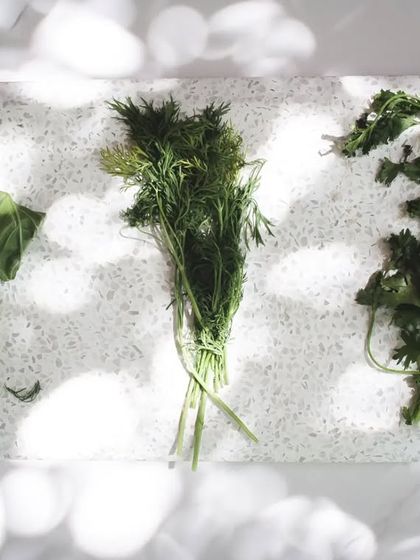Meet your greens. Fresh herbs like basil, dill, and coriander are the foundation of our dishes, used as a canvas for salads, a garnish for tartines, and a key flavour component.