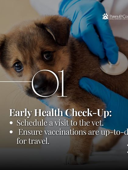 PawsnCollars - Veterinary Care Seamless Pet Relocation, Worldwide photo 7