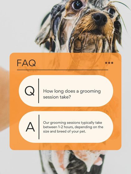 Petish Grooming - Mobile Grooming for Dogs & Cats Pet Care Tips & FAQs photo 14