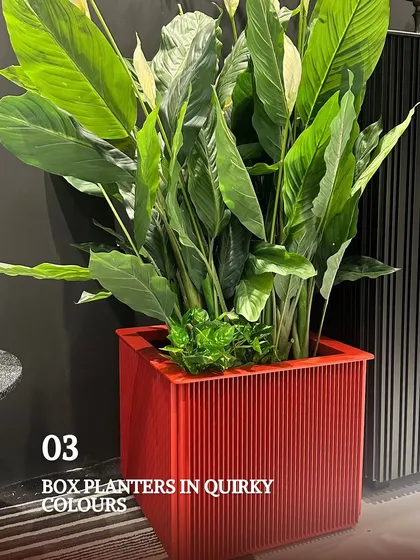 Who says planters have to be boring? I love using quirky, colorful planters like this red aluminum box planter to add a fresh pop of color to a garden or balcony. They are lightweight, durable, and make plant styling much more exciting.