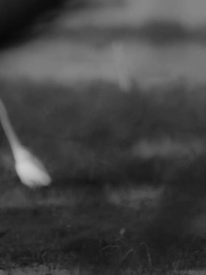 Creative Photography: The Painter's Eye photo 8