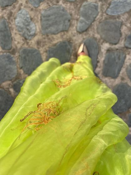 A close-up of a beautiful lime green organza sari. The delicate fabric and intricate gold embroidery make it a stunning choice for a daytime wedding event.