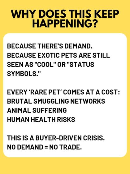 Charlie's Animal Rescue Centre - Animal Welfare Advocacy Beyond the City: Wildlife & Farm Animal Protection photo 6