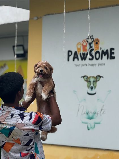 Boarding day equals fun day, and it always includes a warm welcome hug. This little one is being lifted up to our 'Pawsome' sign.