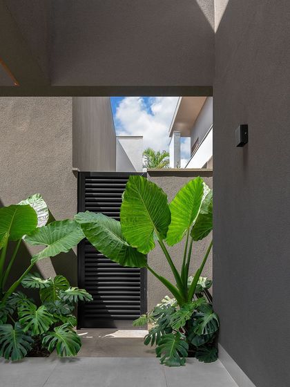 The strong architectural lines of the building are contrasted with the organic shapes of large-leafed tropical plants. This view shows how we frame entrances with greenery to create a stunning first impression.