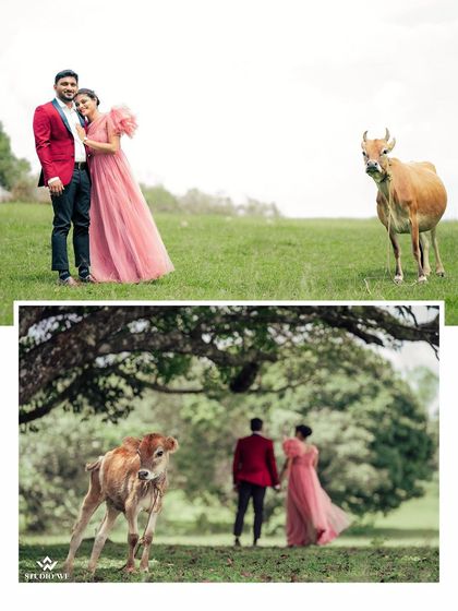 Studio WE Weddings - Pre-Wedding & Engagement Services Pre-Wedding Shoots: Nature & Scenic Escapes photo 12