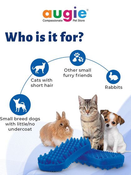 Augie Pets - Pet Supplies Spa Day at Home: Gentle Grooming Essentials photo 21