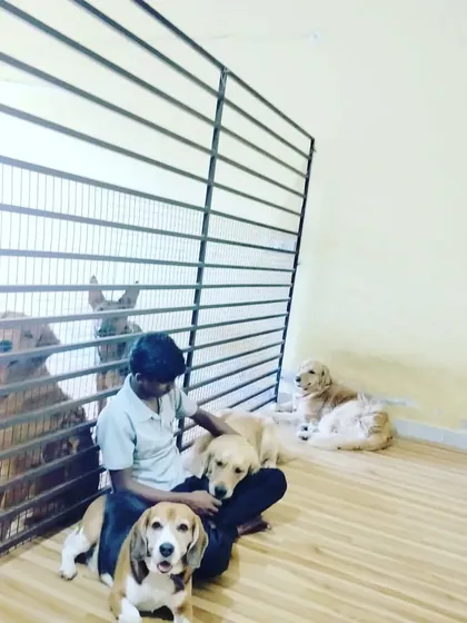 The bond between our staff and our furry guests is what makes us special. Here, one of our caretakers spends quality time with a Beagle, Labrador, and other dogs in our clean indoor area. We believe in providing personal attention and affection to every pet.