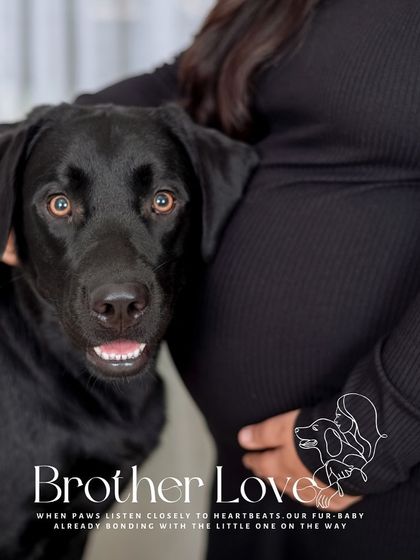 This close-up shot says it all: brotherly love. We focus on the details that tell the story, like a protective paw near the baby bump, capturing the bond that's already forming between a pet and the new arrival.