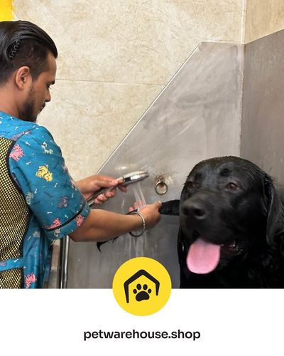 Veterinary Services