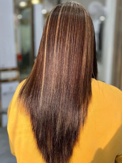 The back view of the straight hair with highlights, showcasing the V-shaped cut and the beautiful distribution of color.