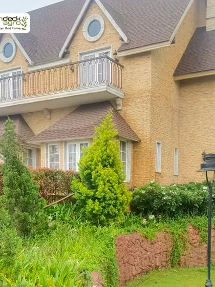A view of the beautiful landscape we maintain for the Pinnacle Group. Our work ensures that the greenery perfectly complements the architecture of the property.