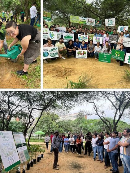 A collage showing the Fidelity International team's two-day effort, where 250 employees planted 3500 native saplings at Aravali Creek.