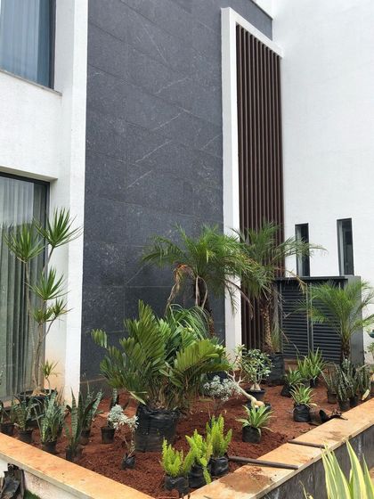 Sora Garden Design - Landscape & Garden Design The Garden's Journey: Transformations photo 8