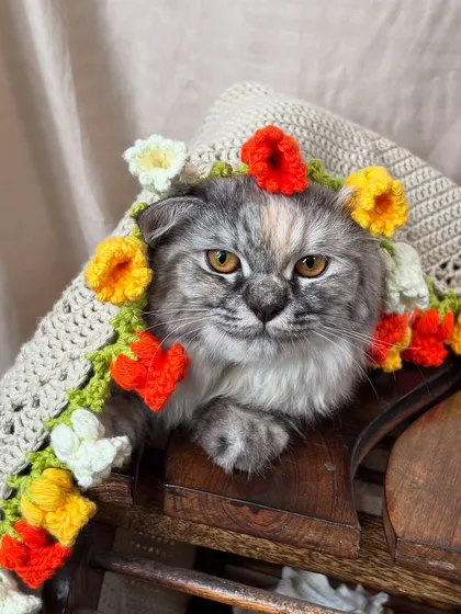 Our 'Valley of Lily' bouquet blanket is not just for humans. Our fluffy supervisor, Kiki, has officially approved it for maximum coziness and charm.