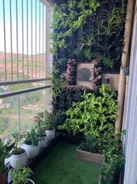 Vertical Gardens & Green Walls