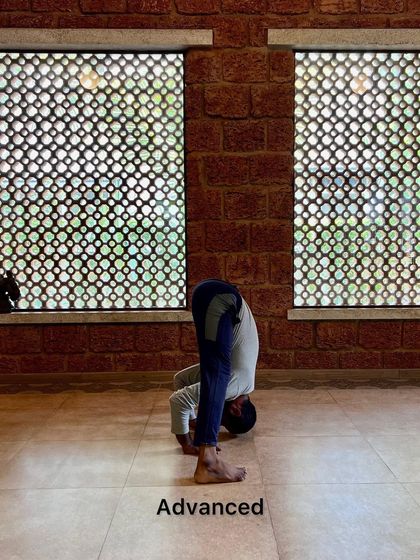 Pratyaksha Yoga - Yoga Teacher Training Asana Tutorials & Pose Breakdowns photo 38