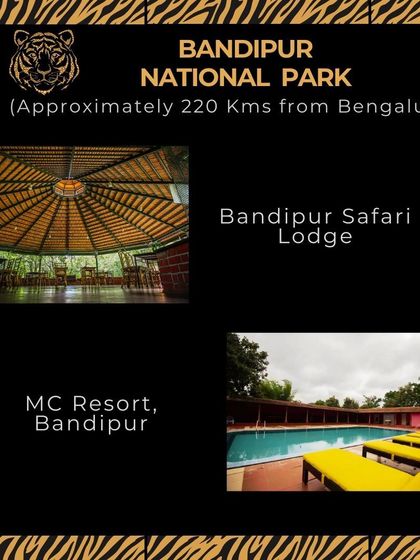 For Bandipur National Park, the Bandipur Safari Lodge offers an authentic experience run by Jungle Lodges, while MC Resort provides a comfortable stay with a pool.