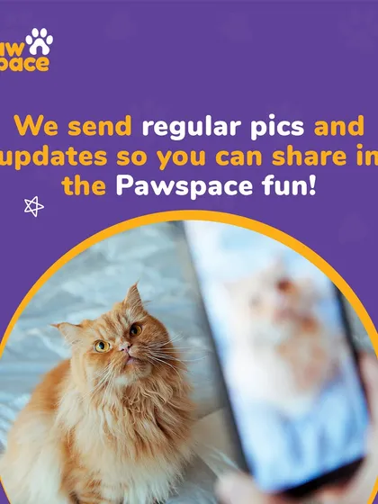 You'll never have to wonder how your pet is doing. We send regular photo and video updates throughout their stay, so you can see them having fun and feel connected even when you're away.