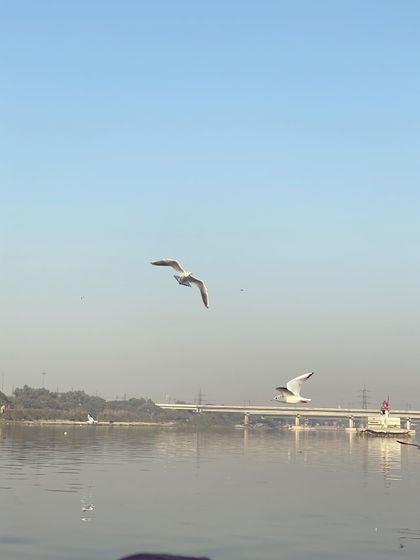 Yamuna Riverfront Experience photo 3