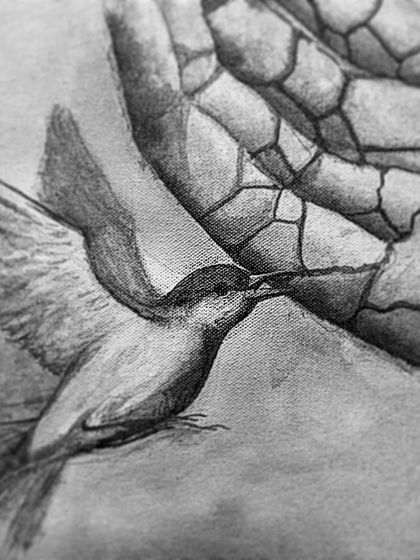 A close-up sketch of a bird from the 'Sapling' underpainting. Every element, no matter how small, is planned and detailed at this early stage.