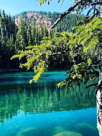 A close up of the beautiful turquoise water and pine trees in the Swiss Alps. This image captures the essence of nature's healing ability, a core principle of my wellness retreats.