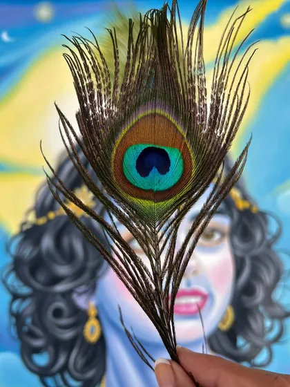 Focusing on the peacock feather, a key element of the Krishna painting.